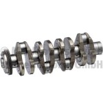 KOLBENSCHMIDT 20050365102 / crankshaft (8 counterweights, pan positioning at second pivot point) fits: mercedes c (c204), c (w204), c t-model (s204), cls (c218), cls shooting brake (x218) om651.911-om651.961 06.06-
