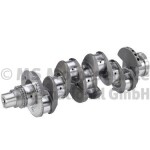 BF 20051404811 / crankshaft fits: iveco daily fits: iveco daily iii, daily iv, daily v, daily vi, citroen jumper ii, fiat ducato, peugeot boxer f1ce0441a-f1cgl411c 07.99-