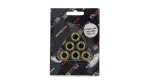 rullid variaatori/mootorratta/19X17/ 14.50G