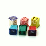 Jaapani kaitsme mikro emane 14 – 25a
