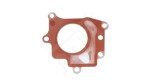 OE 55573360 / egr valve gasket zafira 2 0d