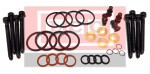 BCC MOTO TR1419 / injection pump seal set VW + bolt