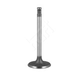 GIEFFE 66G / guard /in/bmw 315,316,318/41.9/8/103.8/