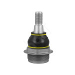 SWORZEN MASTER 10- /L+P/           /DOL/
