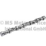 BF 20100712002 / camshaft fits: scania
