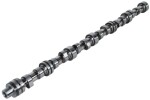 BF 201009XF950 / camshaft fits: daf 85 cf, 95 xf, cf 85, xf 95 xe280c-xf355m 01.97-05.13