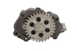 BF 20141413002 / Pump for: iveco for: iveco stralis i, stralis ii, trakker i, trakker ii, astra hd 8, hd 9 f3be0681c-f3hfe611d 10.04-