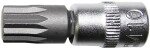 1/4" Бита с торцевой головкой 12-звёздочки xzn короткая m12 triumf