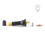 klapp for Schrader snap-In Type 2 (x10) (SKA957, 6-210H, 5033)