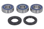 ALL BALLS AB25-1281 / rear wheel bearing kit (with sealant) fits: kawasaki klz, z, zx, zx-10r, zx-7r 750/1000 1989-2019