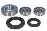 ALL BALLS AB25-1393 / rear wheel bearing kit (with sealants) fits: kawasaki klv, suzuki dl 650/1000 2002-2017