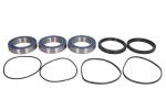 ALL BALLS AB25-1479 / rear wheel bearing kit (with sealant) fits: honda trx, suzuki lt-z 400/450 2004-2014