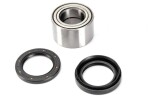 ALL BALLS AB25-1538 / wheel bearing kit front/rear (with sealants) fits: kymco uxv, suzuki lt-a 450-750 2005-2016