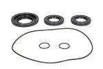 ALL BALLS AB25-2106-5 / differential seal kit rear fits: can-am outlander., renegade 450-1000 2014-2017