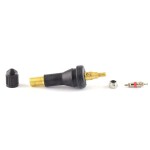 TPMS klapp T-Pro snap-in x10 (SKA955)