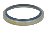CARRARO 25124-CR / differential element (sealing ring 56mm x 70mm x 8/10mm) fits: carraro, case ih 100, 100 u, 1080 u, 1090 u, 1100 u, 75, 80 u, 85, 90 u, 150, 165, 180, 110, 115, 125, 130, 135, 70, 80