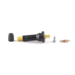 TPMS klapp Snap-in x10 tk (SKA971)