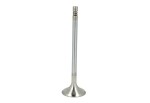 TRW 261133 / exhaust valve (29.9x6x107.3) fits: mercedes c (cl203), c t-model (s203), c t-model (s204), c (w203), c (w204), clc (cl203), clk (a209), clk (c209), cls (c219), e (a207), e (c207) 3.5/4.7 06.04-