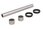 ALL BALLS AB28-1187 / ATV Swingarm Repair Kit Fits: Yamaha YFM 125/250 2008-2013