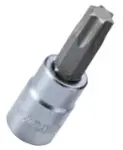 Padrun TORX 1/4" T8