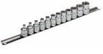 E-Torx 3/8" padrunite komplekt 12-osa.