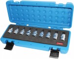 9-os. 1/2" ribe torx padrunotsikute komplekt m5-m14. vaht triumf