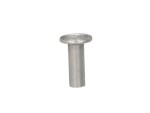 pidur vooder neet (4mmx12mm, pakend. 100tk.) alumiinium complete