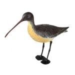 Koovitaja