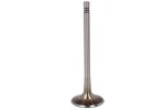 TRW 331116 / intake valve (33.9x6x104) fits: audi a3, a4 b6, a4 b7, a4 b8, a5, a6 allroad c6, a6 allroad c7, a6 c6, a6 c7, a7, a8 d3, a8 d4, q5, q7, porsche cayenne, panamera, seat altea 1.8-4.2 07.02-12.19