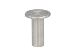 pidur vooder neet (8mmx22mm, pakend. 100tk.) alumiinium complete