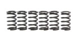 NHC SPR0008 / sprezynka clutch set kawasaki kx250