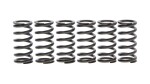 NHC SPR0022 / sprezynka clutch set kawasaki kx250
