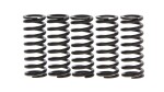 NHC SPR0046 / sprezynka clutch set honda trx 250
