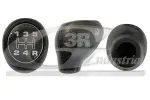 3RG Käigukanginupp 25220