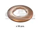 3RG Kaitseseib,  sissepritse (pihustiseib) 80541