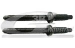 3RG Pihustipolt / sissepritsedüüsi kinnitus 83295