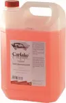 carlake suvine klaasipesuvedelik 5l