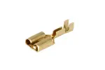 100 tk. 6,3mm x 0,8mm iselukustuv ilma isolatsioon 4612/000/5112 6032 100 tk.