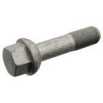 Rattapolt M14X1,5 Üldpikkus 74mm keerme pikkus 22,5mm Võti 19