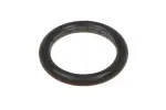 seal ring 4899072-fpt