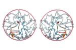 JOPE (cert. Austria V-5117) 275/70R18; 285/45R21; 285/45R22; 285/55R20; 285/70R17; 295/40R22; 305/45R22; 325/35R22
