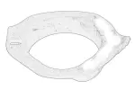 OE FIAT 50706623 / coil spring washer lower/front (right/left) fits: fiat bravo ii, lancia delta iii 11.06-12.14