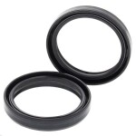 ALL BALLS AB55-129 / front suspension oil seals (inner diameter: 49mm/outer diameter: 60mm/height: 11mm, quantity in package: 2pcs) fits: harley davidson flhp, flhr, flhrc, flhtcu, flhtcutg, flhtk, flhtkl 125-2000 1996-2020