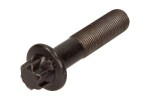  55187537 / crankshaft gear bolt fiat 1.3 jtd/ opel/ suzuki