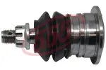 555 Kande-/juhtliigend SB-3881