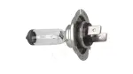 ZAROWKA HAL.H7 12V 55W   OE