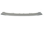 BLIC 5703-05-0092921P / front bumper strip (plastic, for painting) suitable for: bmw x1 e84 10.09-06.15