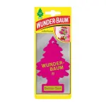 lõhn WUNDER-BAUM -näts