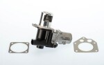 BORGWARNER 710928D/1 / egr valve