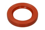 DELPHI 7190-266-12B1 / 25x39x6.5 seals 7190-266 7190-071 delphi
